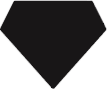 Diamond #2 Shape Logo Tags
